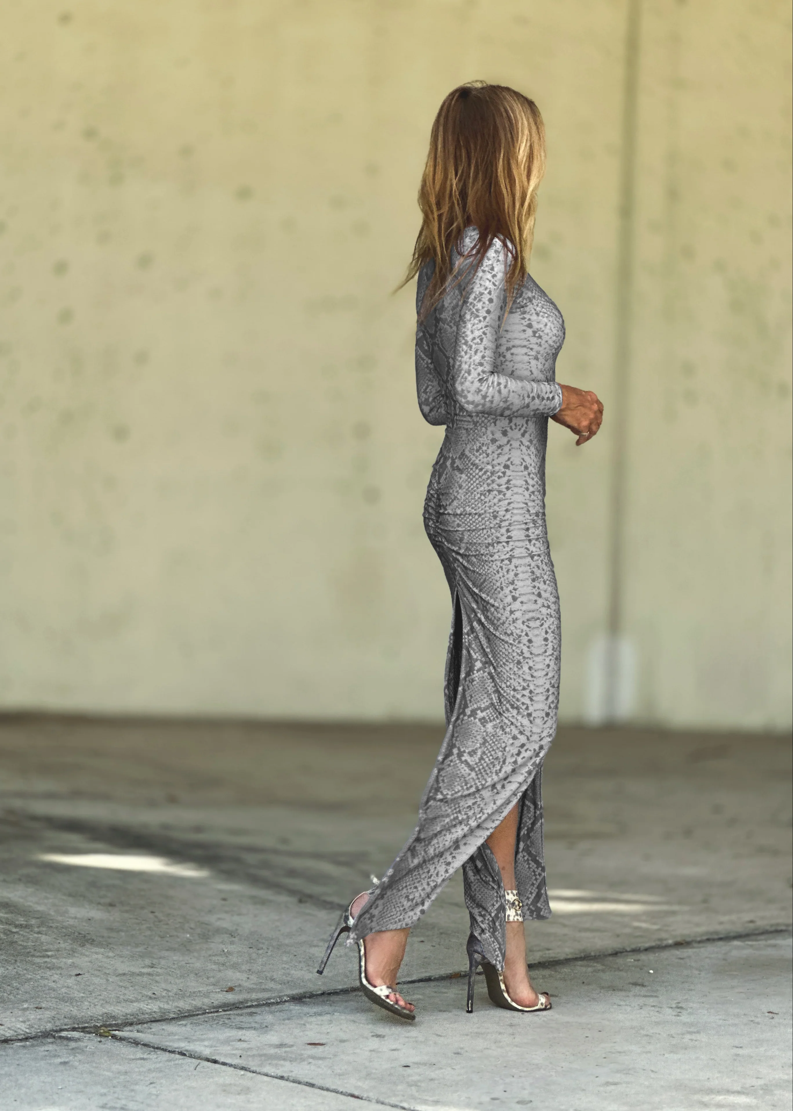 Parker Dress Silver Snake - Image 5